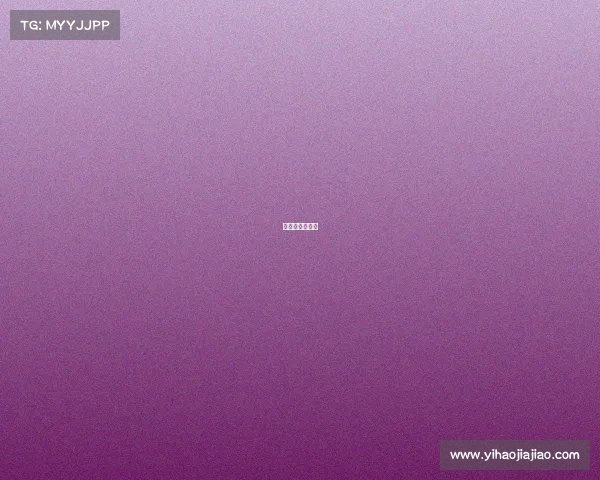 七彩虹网络科技